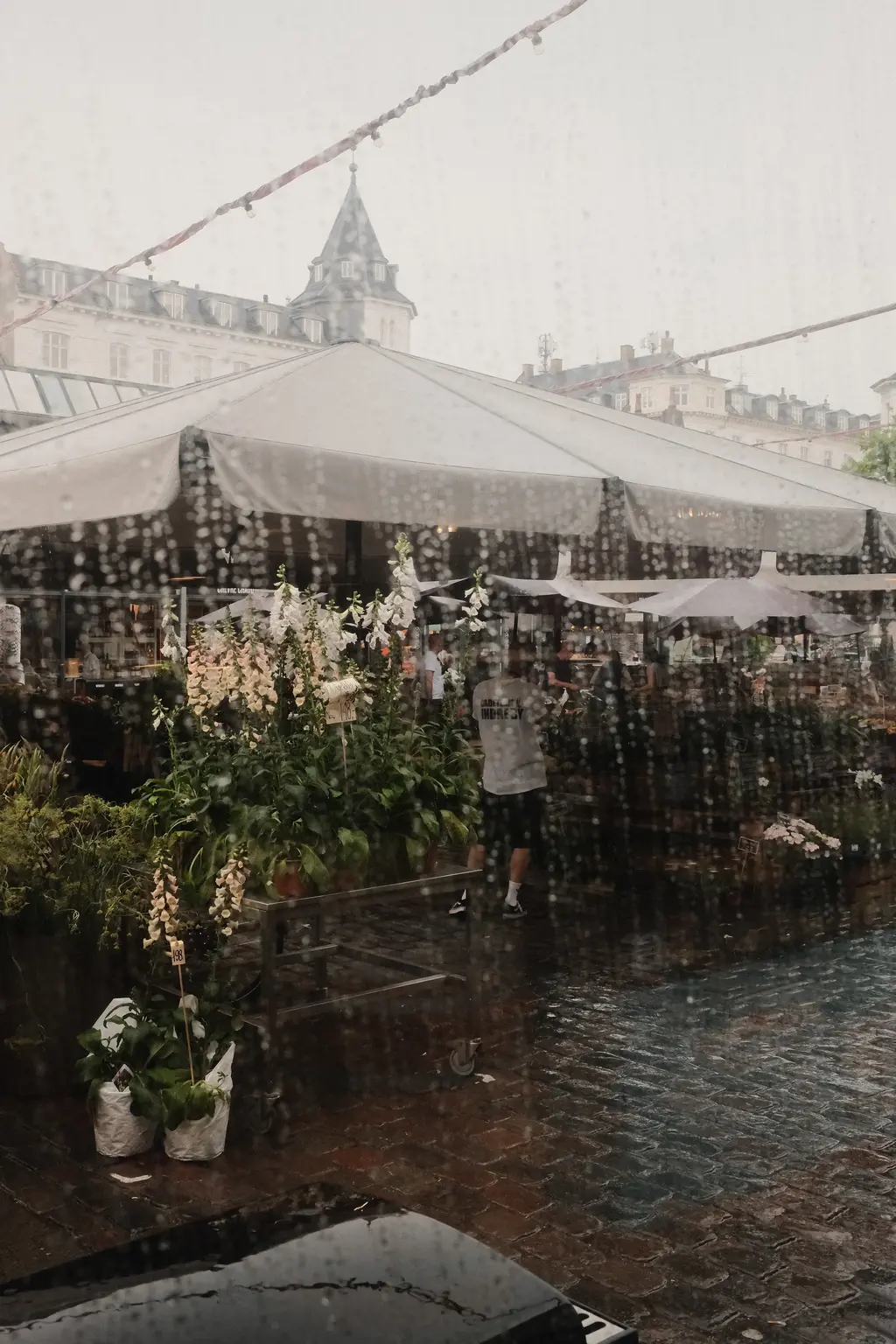 Copenhagen for World of Coffee - Photo