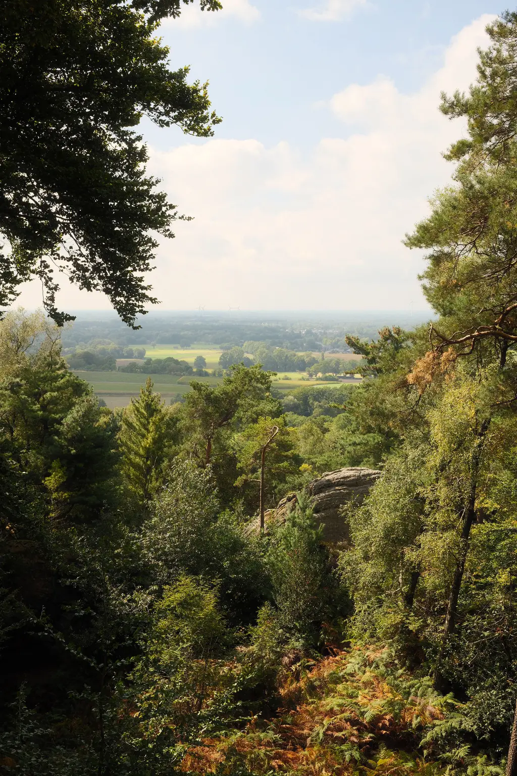 Grafschaft & Twente - Photo