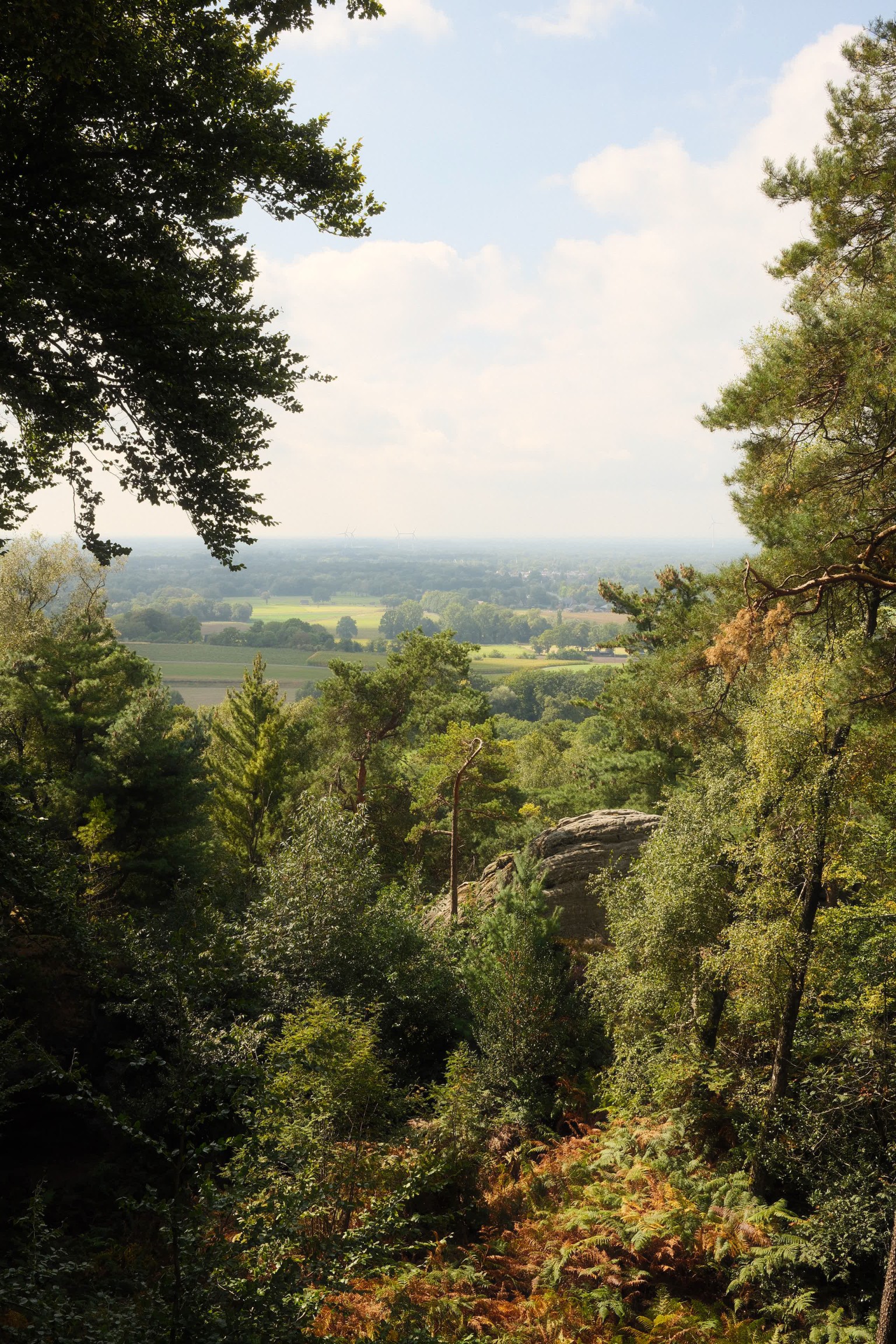 Grafschaft & Twente - Photo 7