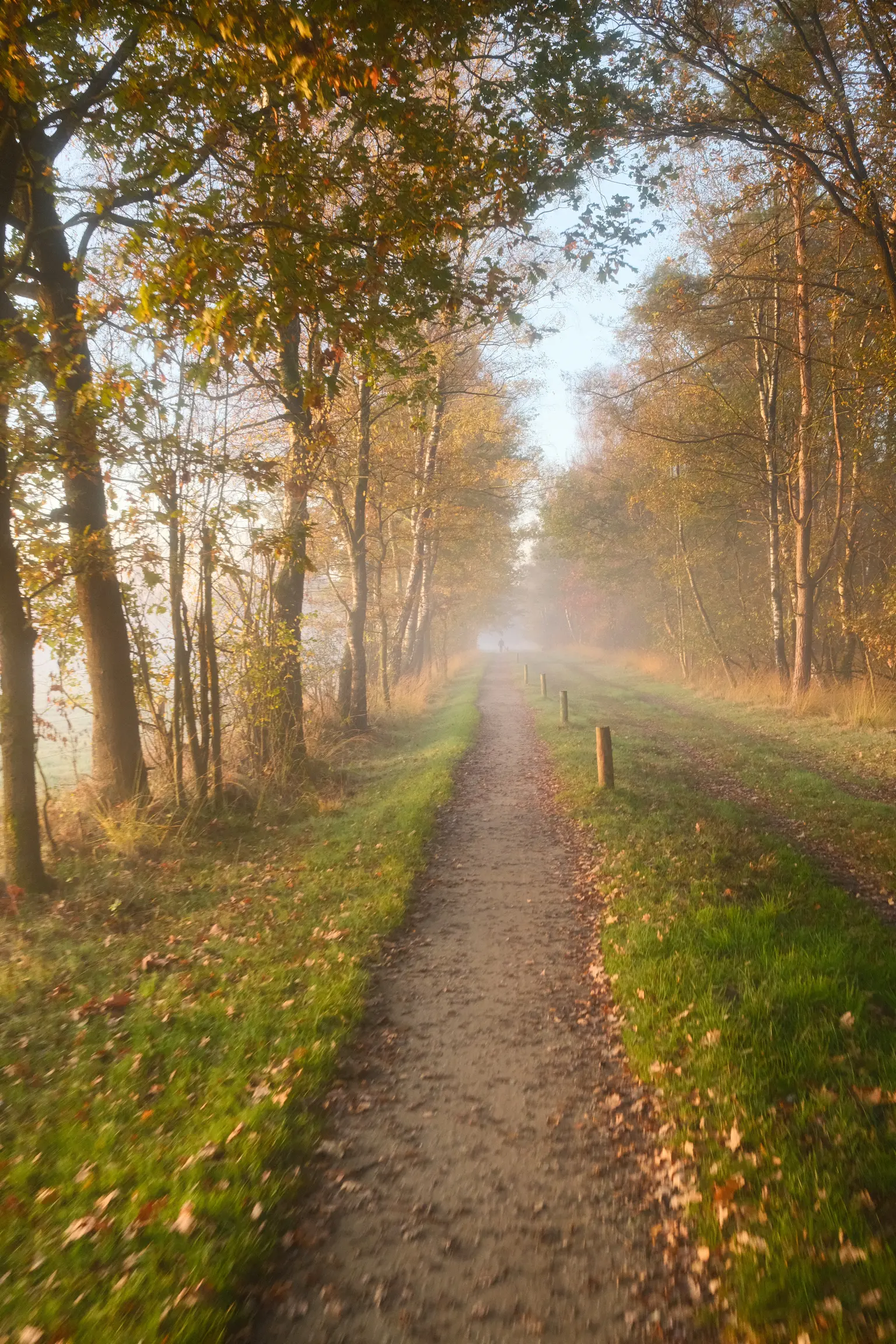 Grafschaft & Twente - Photo 8