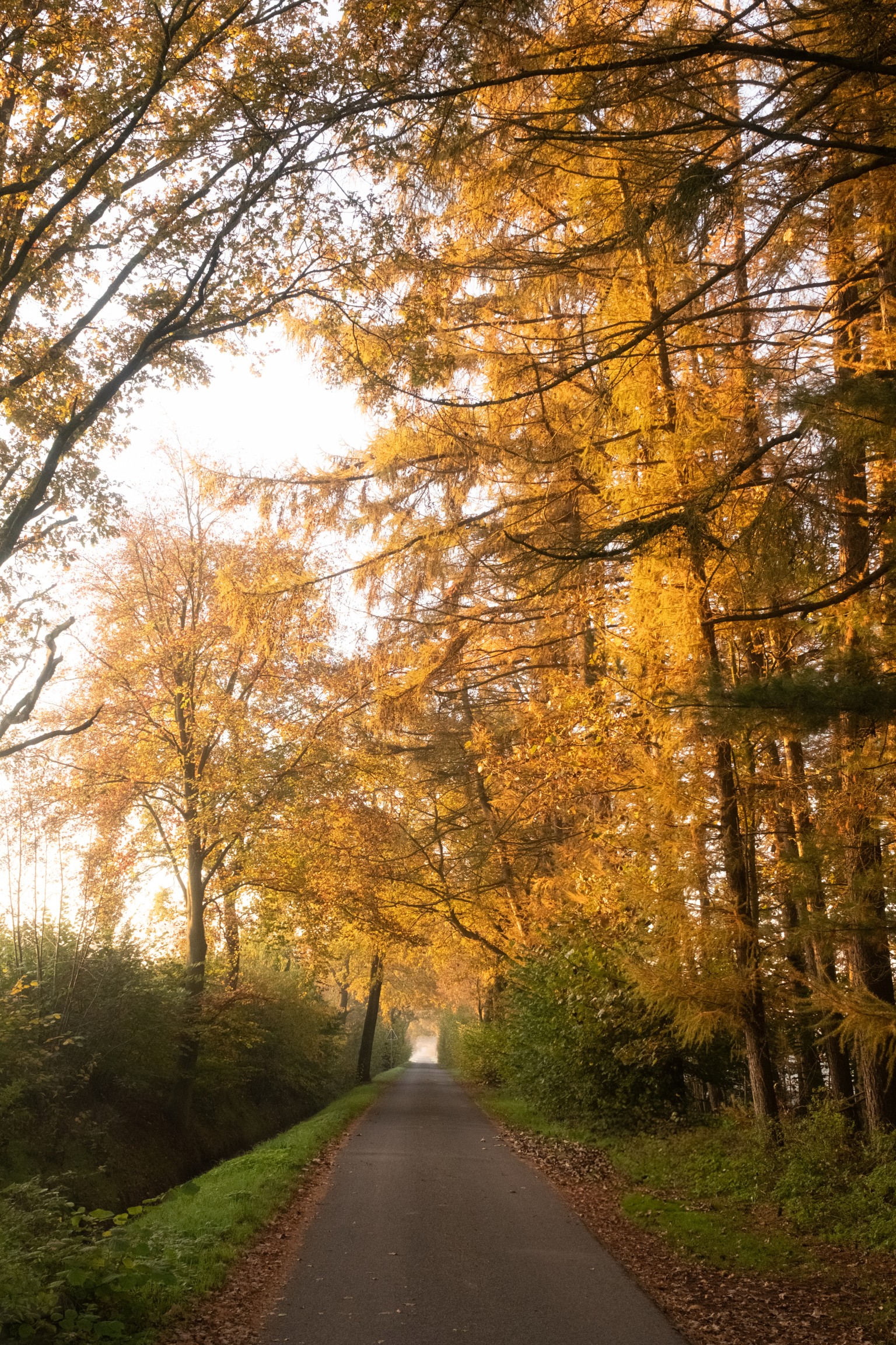 Grafschaft & Twente - Photo 10