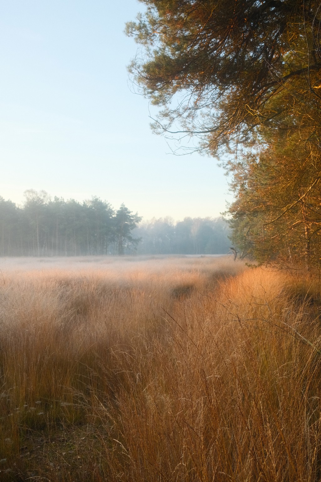 Grafschaft & Twente - Photo
