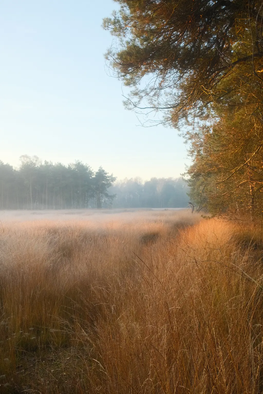 Grafschaft & Twente - Photo