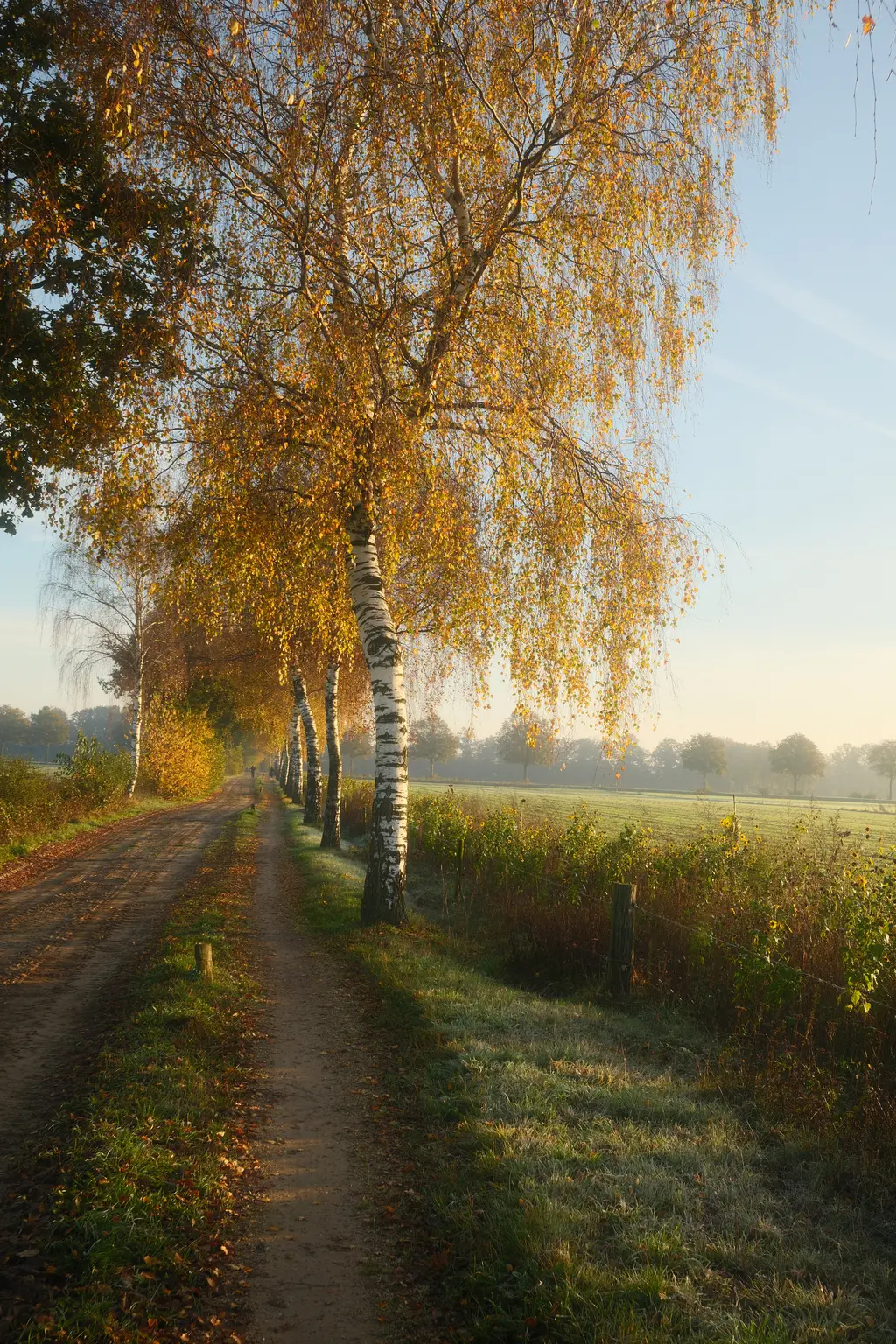 Grafschaft & Twente - Photo