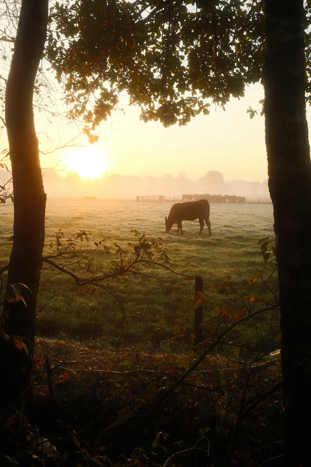 Grafschaft & Twente - Photo