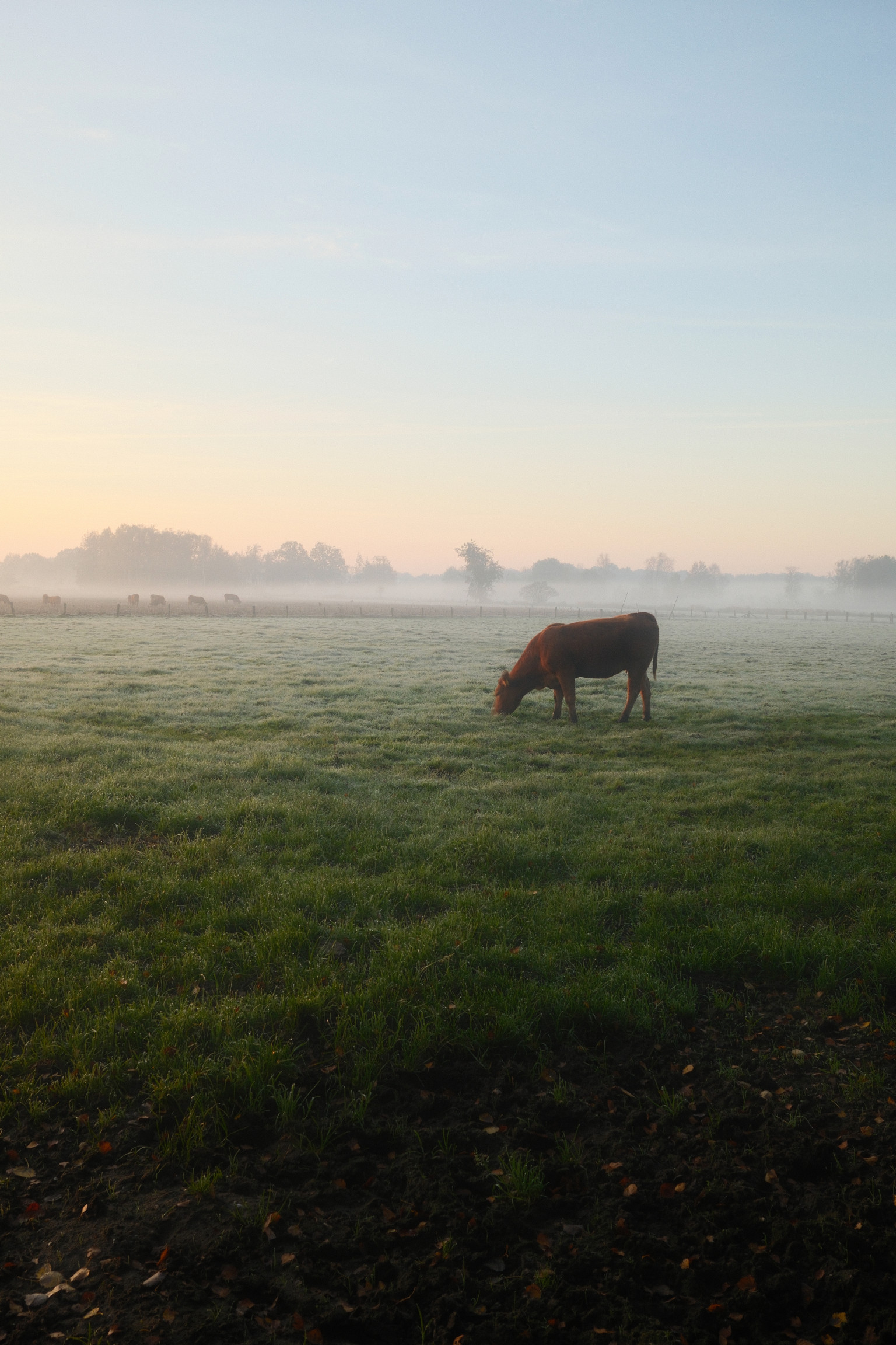 Grafschaft & Twente - Photo 15