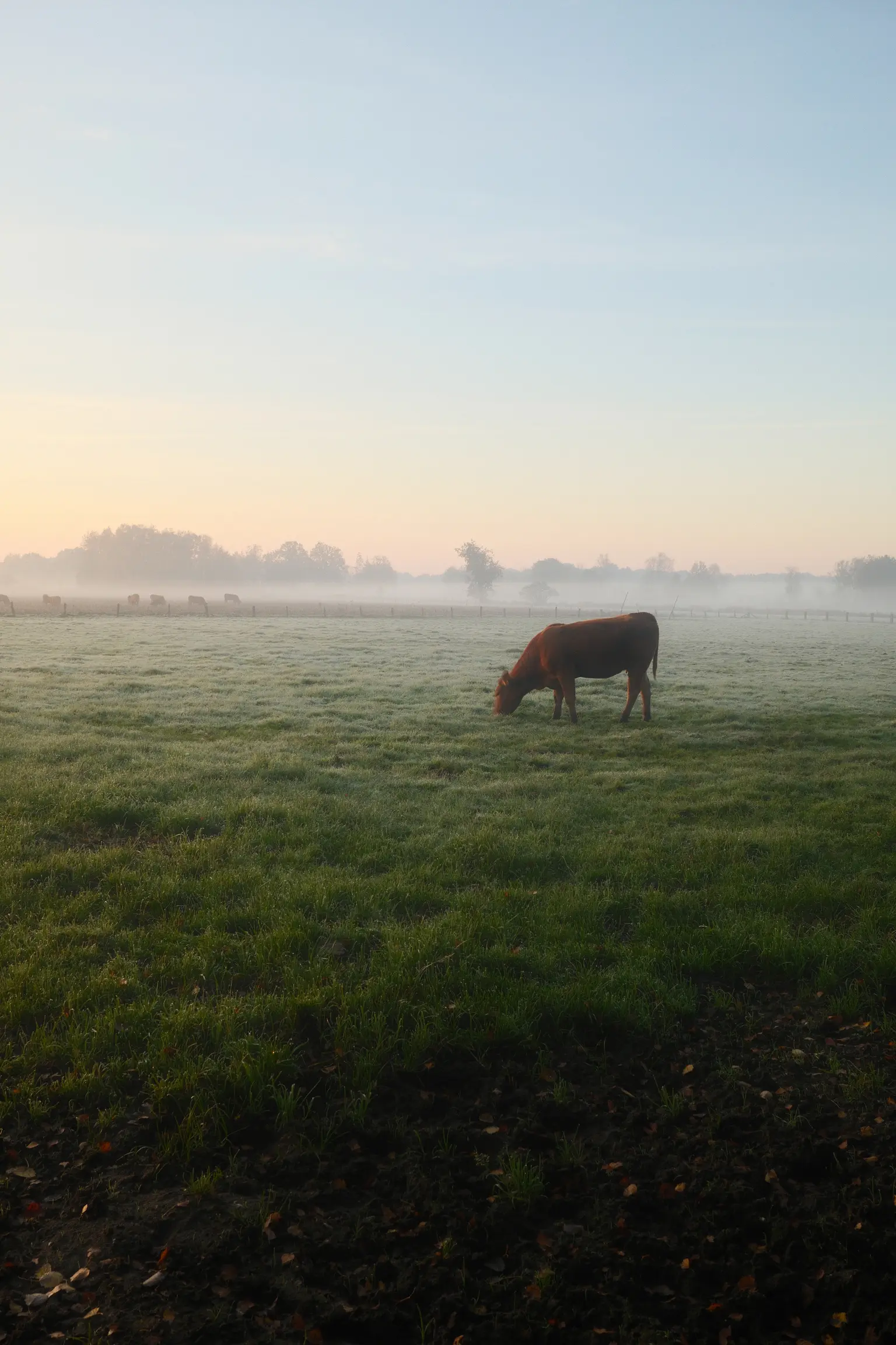 Grafschaft & Twente - Photo 15