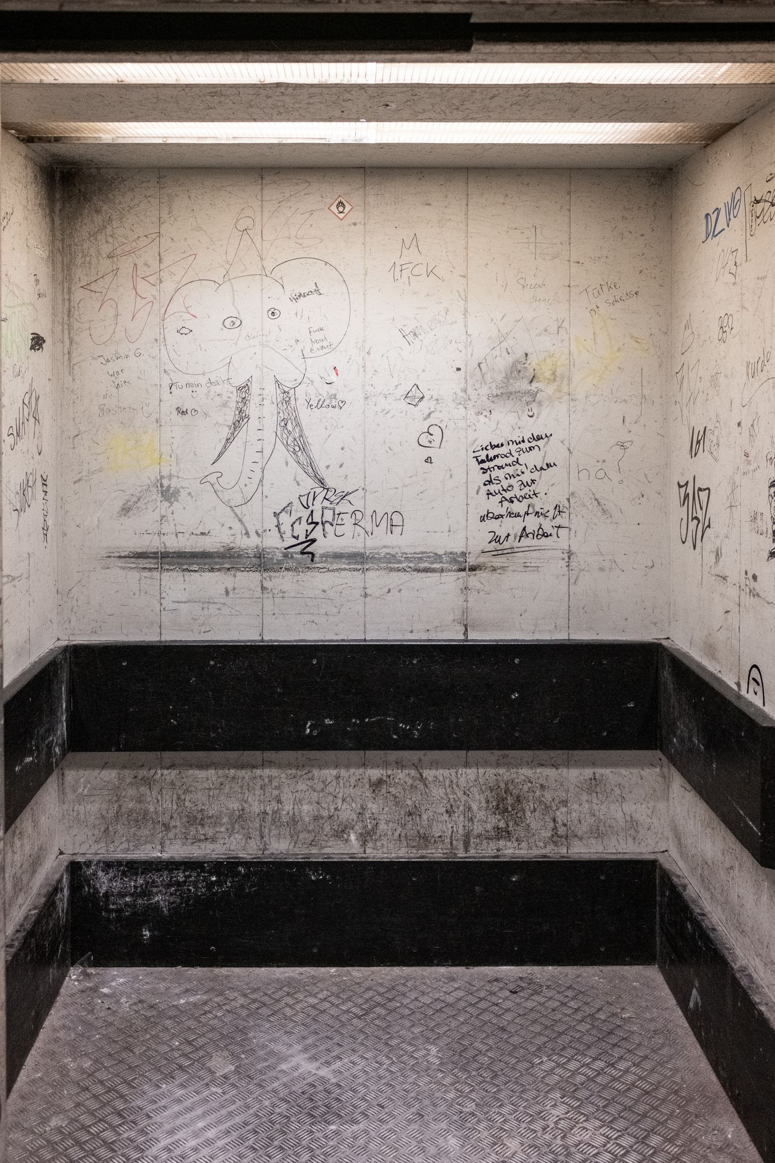 Selected Observations - Photo 11