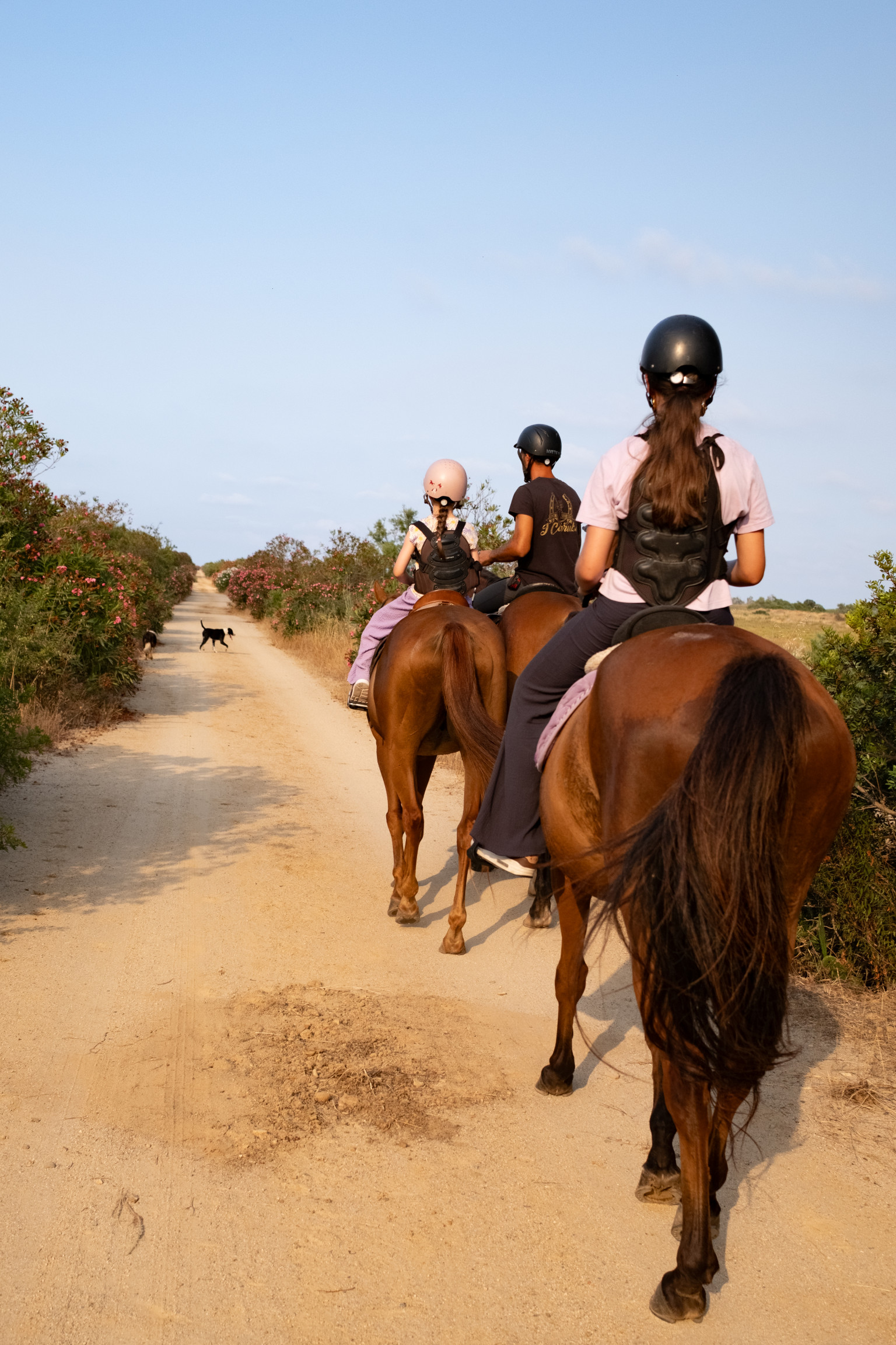 South-East Sardinia - Photo 18