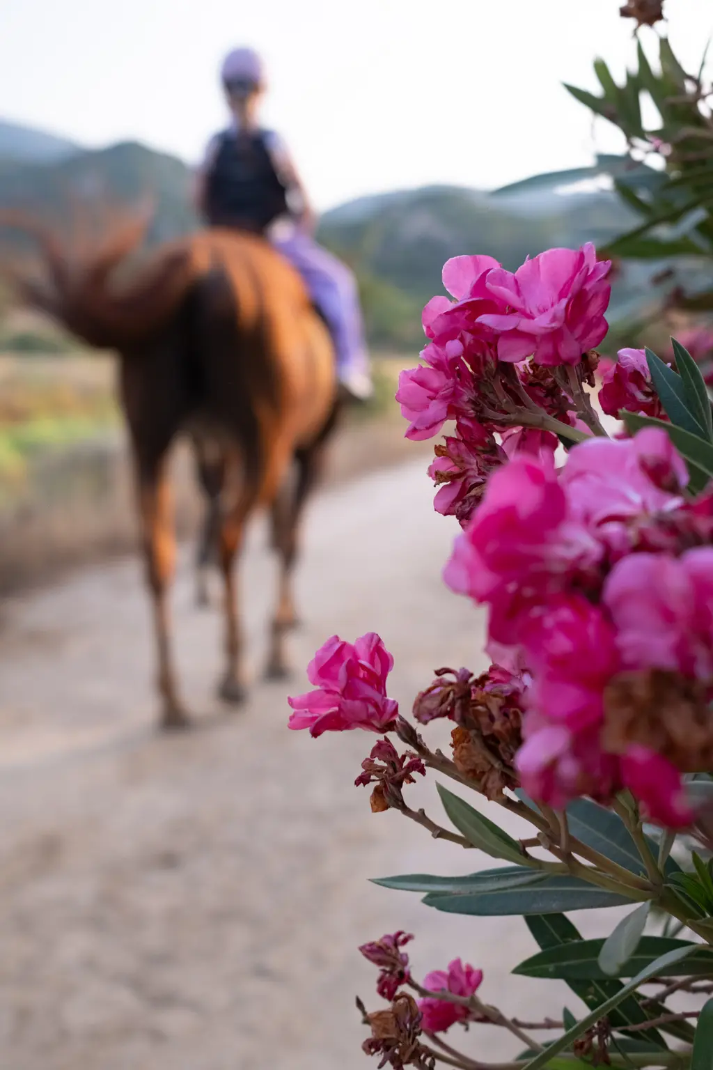 South-East Sardinia - Photo