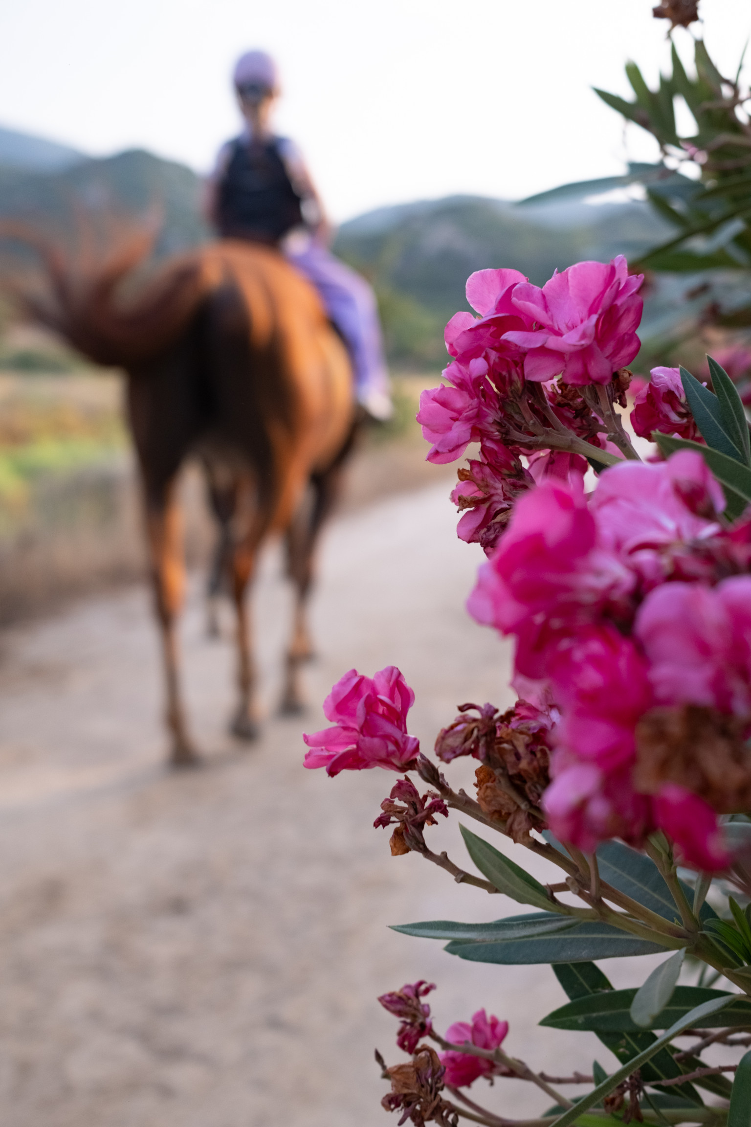 South-East Sardinia - Photo 21